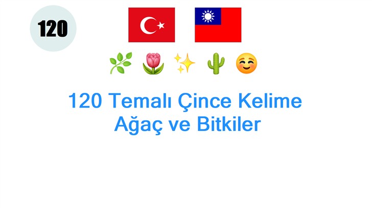 120 Temalı Çince Kelime: Ağaç ve Bitkiler